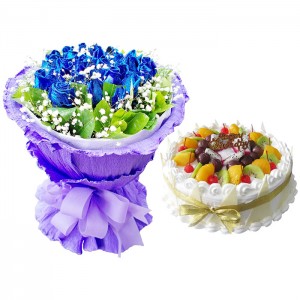 ������ǹ�