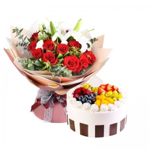 ����ȹ���������